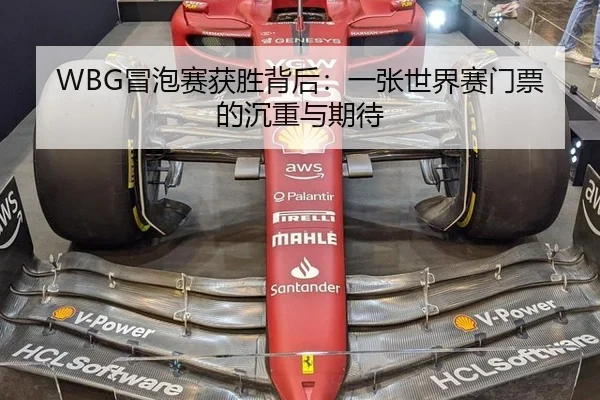 WBG冒泡赛获胜背后：一张世界赛门票的沉重与期待